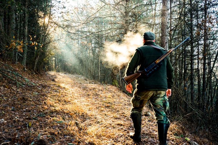 Jagd und Natur